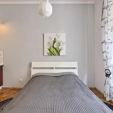 Appartement Kazimierz White *
